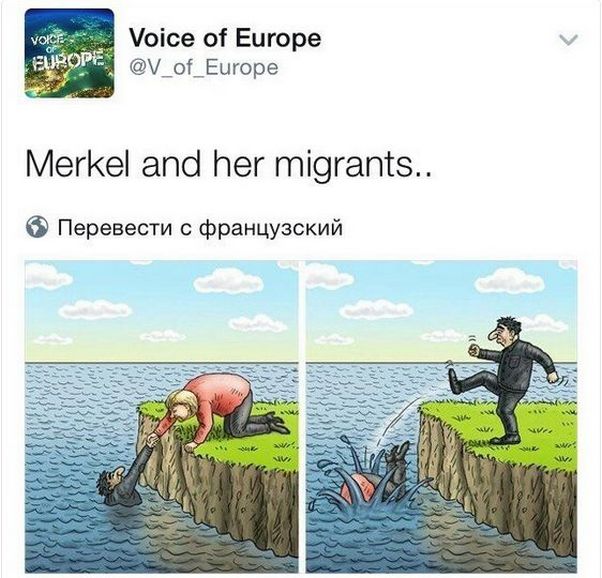 "Мыздобулы" в картинках. Смешных и не очень... 06-01-2017 "Мыздобулы" в картинках. Смешных и не очень... 06-01-2017