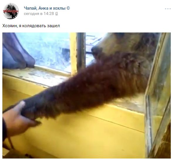 "Мыздобулы" в картинках. Смешных и не очень... 07-01-2017