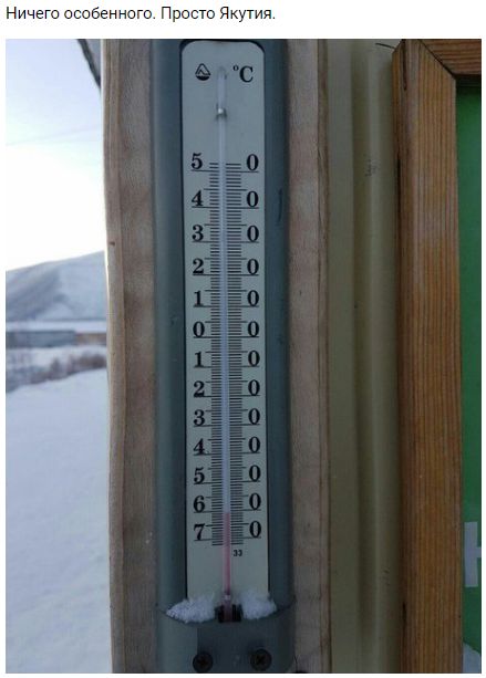 "Мыздобулы" в картинках. Смешных и не очень... 07-01-2017