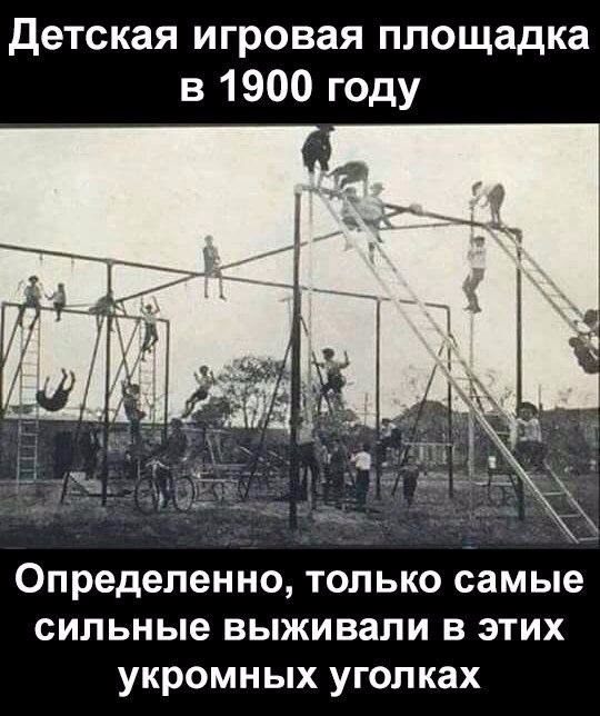 "Мыздобулы" в картинках. Смешных и не очень... 07-01-2017