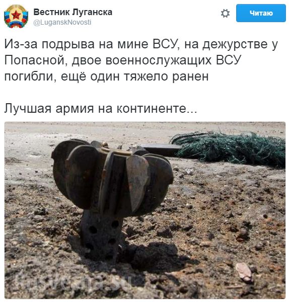 "Мыздобулы" в картинках. Смешных и не очень... 07-01-2017