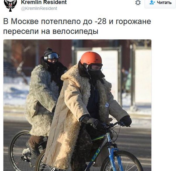 "Мыздобулы" в картинках. Смешных и не очень... 08-01-2017