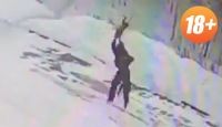 Иркутский живодер, который зверски расправился с бездомной собакой, оказался хорошо знаком полицейским 18+