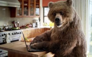 В Европе мороз: русские хакеры взломали сервер погоды