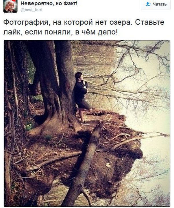 "Мыздобулы" в картинках. Смешных и не очень... 11-01-2017