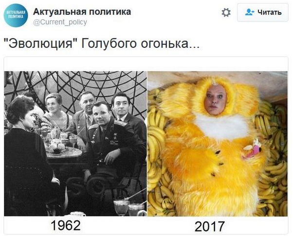 "Мыздобулы" в картинках. Смешных и не очень... 11-01-2017