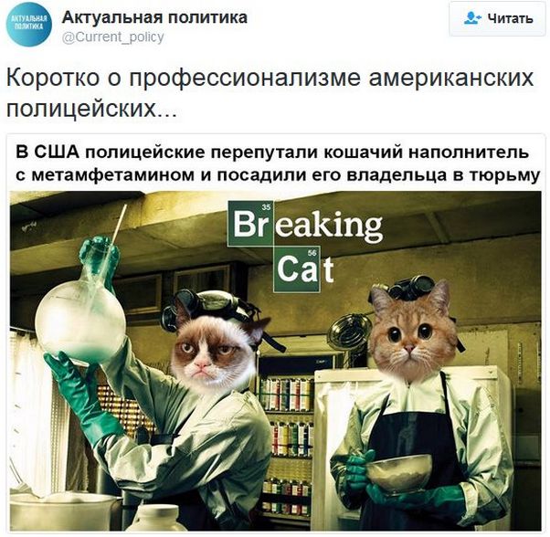 "Мыздобулы" в картинках. Смешных и не очень... 12-01-2017 "Мыздобулы" в картинках. Смешных и не очень... 12-01-2017