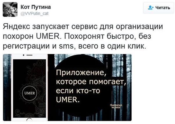 "Мыздобулы" в картинках. Смешных и не очень... 12-01-2017 "Мыздобулы" в картинках. Смешных и не очень... 12-01-2017