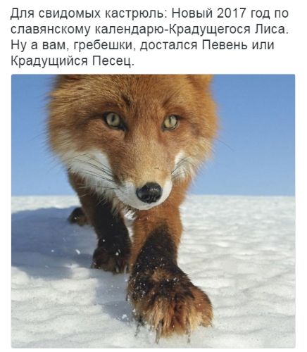 "Мыздобулы" в картинках. Смешных и не очень... 12-01-2017 "Мыздобулы" в картинках. Смешных и не очень... 12-01-2017