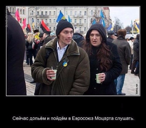 "Мыздобулы" в картинках. Смешных и не очень... 12-01-2017 "Мыздобулы" в картинках. Смешных и не очень... 12-01-2017