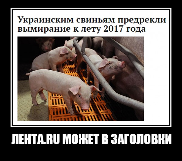 "Мыздобулы" в картинках. Смешных и не очень... 12-01-2017 "Мыздобулы" в картинках. Смешных и не очень... 12-01-2017