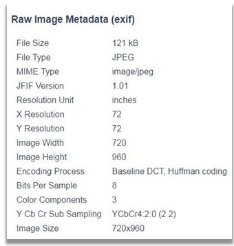 Фото с Президентом или как Фонтанка и Дождь тиражируют фейки из соцсетей Фото с Президентом или как Фонтанка и Дождь тиражируют фейки из соцсетей