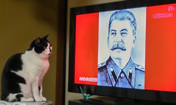 Сталинский кот Коба