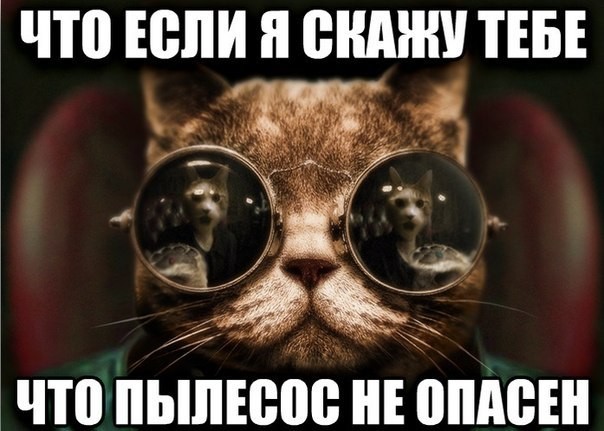 Блог Кота Моти. Про эта