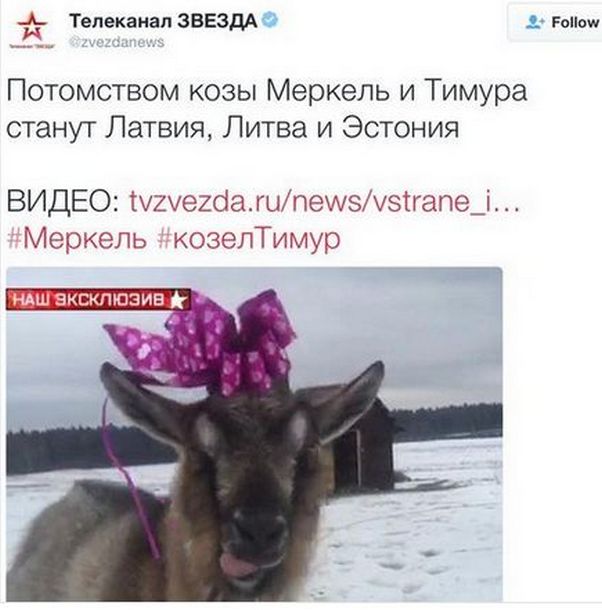 "Мыздобулы" в картинках. Смешных и не очень... 16-01-2017