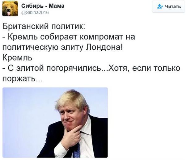 "Мыздобулы" в картинках. Смешных и не очень... 16-01-2017