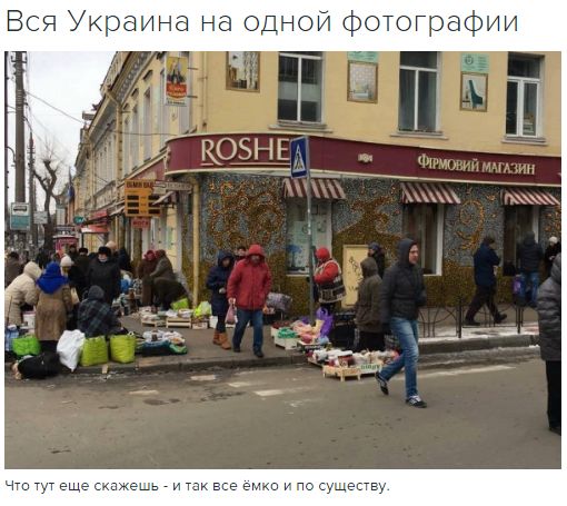 "Мыздобулы" в картинках. Смешных и не очень... 17-01-2017