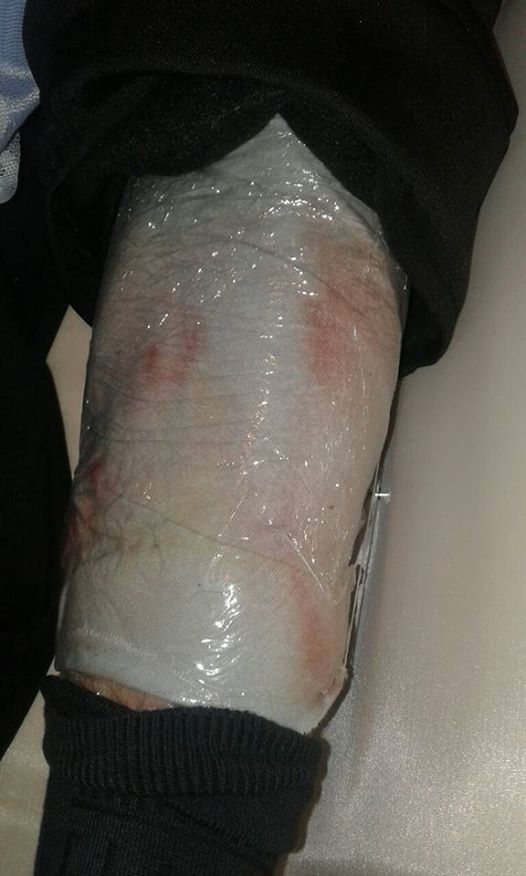 Скандал в парке львов в Крыму: Животное убило человека, происшествие пытались скрыть 18+ Скандал в парке львов в Крыму: Животное убило человека, происшествие пытались скрыть 18+