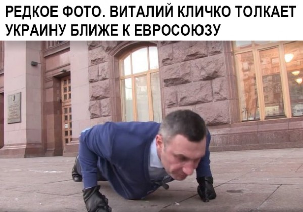 "Мыздобулы" в картинках. Смешных и не очень... 26-01-2017 "Мыздобулы" в картинках. Смешных и не очень... 26-01-2017