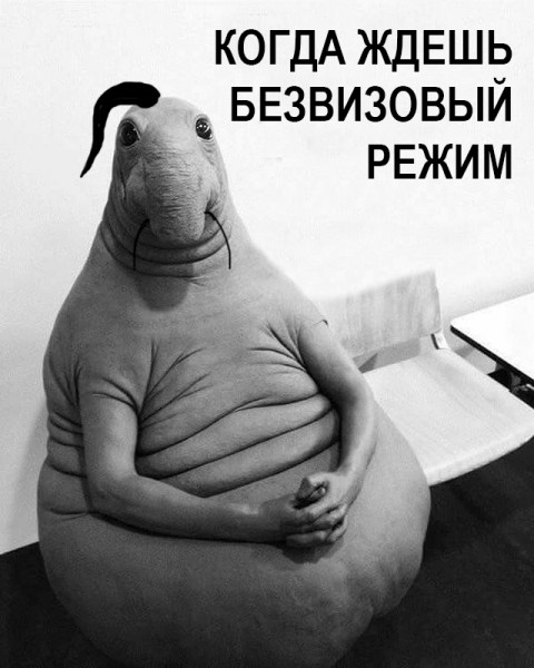 "Мыздобулы" в картинках. Смешных и не очень... 26-01-2017 "Мыздобулы" в картинках. Смешных и не очень... 26-01-2017