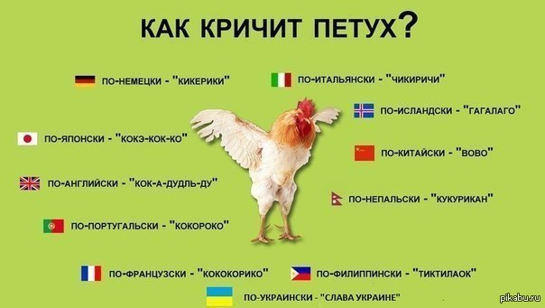"Мыздобулы" в картинках. Смешных и не очень... 29-01-2017