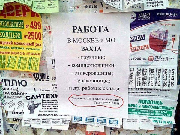 "Мыздобулы" в картинках. Смешных и не очень... 29-01-2017