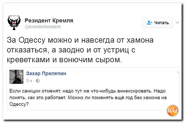 "Мыздобулы" в картинках. Смешных и не очень... 29-01-2017