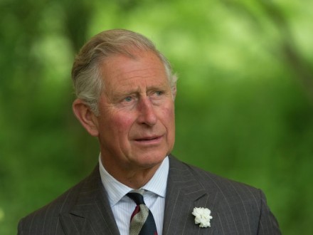 Из-за указа об иммигрантах Трамп поссорился с Францией и Германией, а из-за изменений климата — с британским принцем Из-за указа об иммигрантах Трамп поссорился с Францией и Германией, а из-за изменений климата — с британским принцем