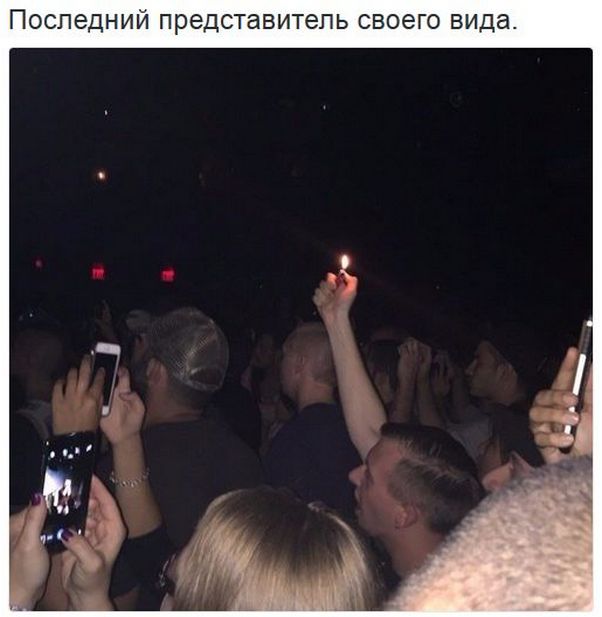 "Мыздобулы" в картинках. Смешных и не очень... 30-01-2017 "Мыздобулы" в картинках. Смешных и не очень... 30-01-2017