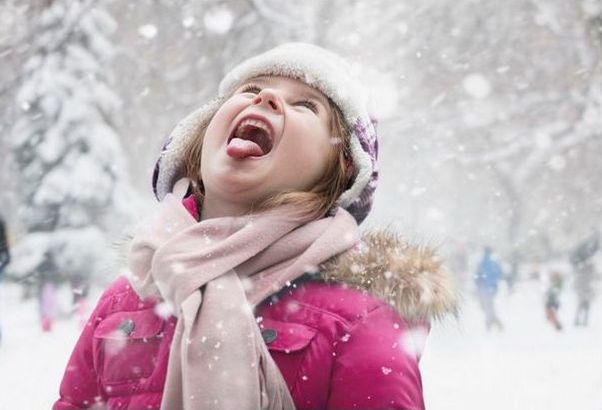 "Мыздобулы" в картинках. Смешных и не очень... 30-01-2017 "Мыздобулы" в картинках. Смешных и не очень... 30-01-2017