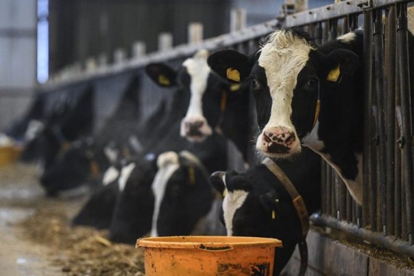 ГОСТ для экопродукции — новый стимул для отечественного производителя ГОСТ для экопродукции — новый стимул для отечественного производителя