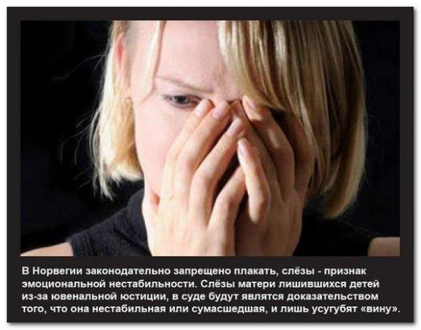 Преддверие ада - это рай западного образца. Или Европейская модель уничтожения семьи Преддверие ада - это рай западного образца. Или Европейская модель уничтожения семьи