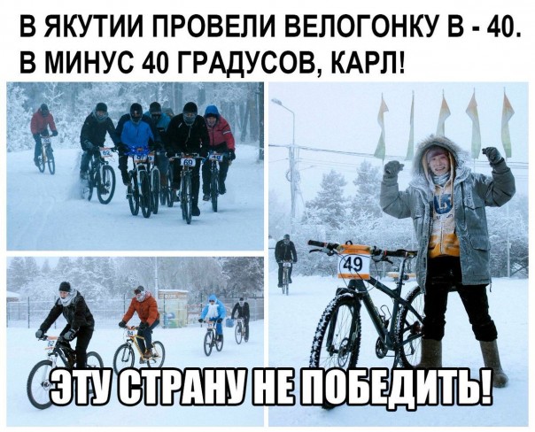 "Мыздобулы" в картинках. Смешных и не очень... 05-01-2017