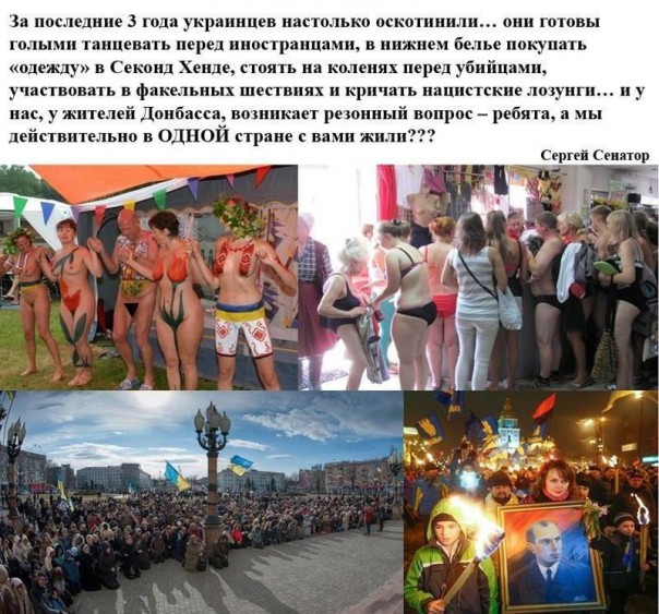 "Мыздобулы" в картинках. Смешных и не очень... 06-01-2017 "Мыздобулы" в картинках. Смешных и не очень... 06-01-2017