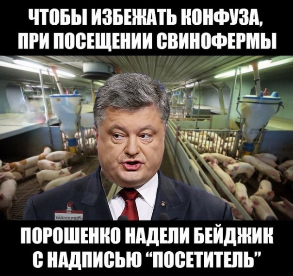 "Мыздобулы" в картинках. Смешных и не очень... 06-01-2017 "Мыздобулы" в картинках. Смешных и не очень... 06-01-2017