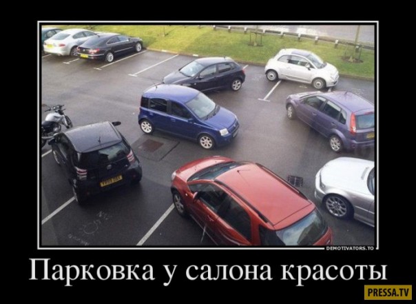 "Мыздобулы" в картинках. Смешных и не очень... 06-01-2017 "Мыздобулы" в картинках. Смешных и не очень... 06-01-2017