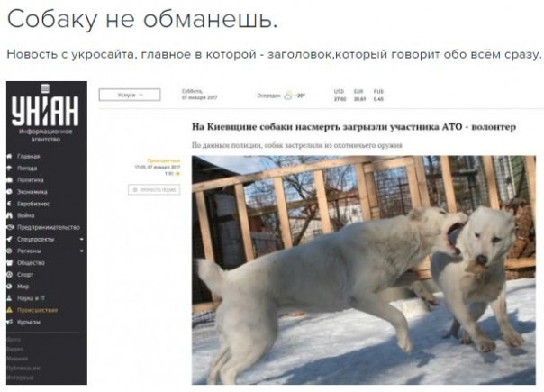 "Мыздобулы" в картинках. Смешных и не очень... 07-01-2017