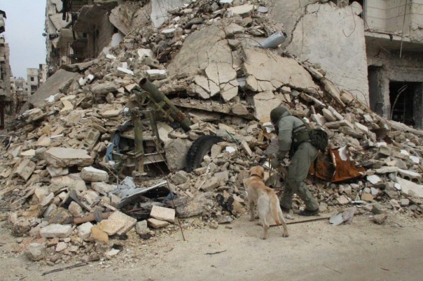 Сирия. Перерождение Сирия. Перерождение