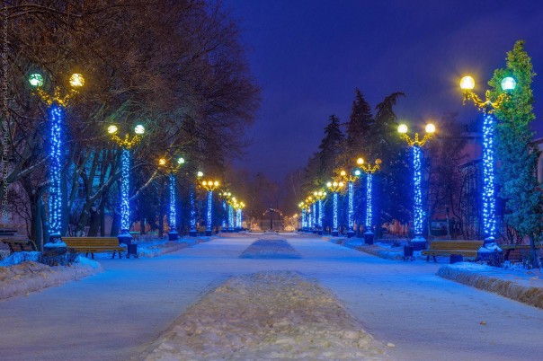 Разорванная в клочья 2016-2017 Разорванная в клочья 2016-2017