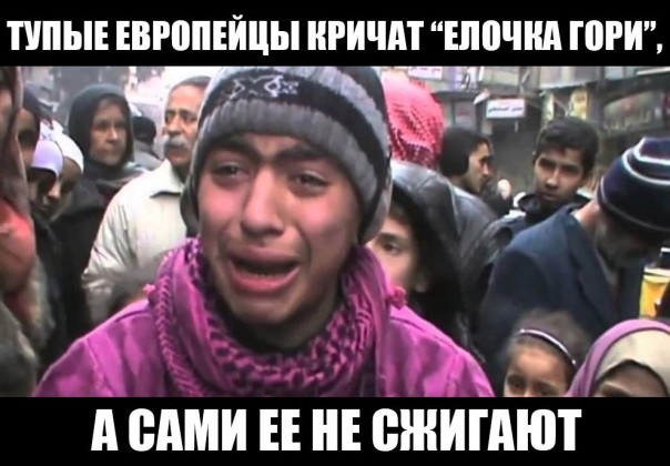 "Мыздобулы" в картинках. Смешных и не очень... 08-01-2017