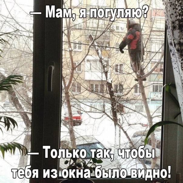 "Мыздобулы" в картинках. Смешных и не очень... 08-01-2017