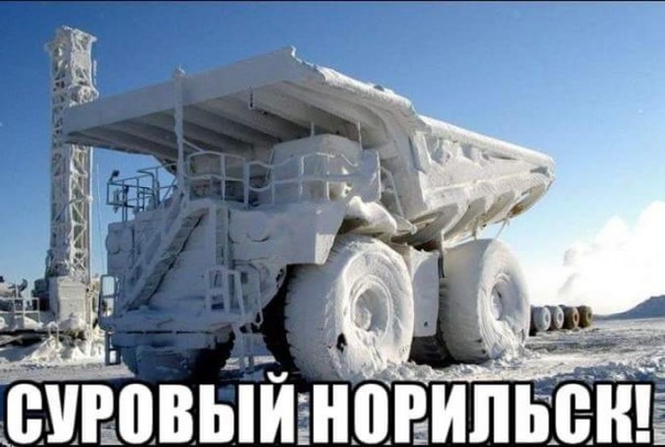 "Мыздобулы" в картинках. Смешных и не очень... 08-01-2017