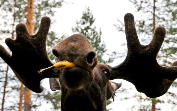 Сенсация!!! Стал известен фактор обуславливающий глобальное потепление