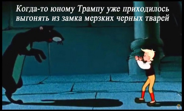 "Мыздобулы" в картинках. Смешных и не очень... 11-01-2017