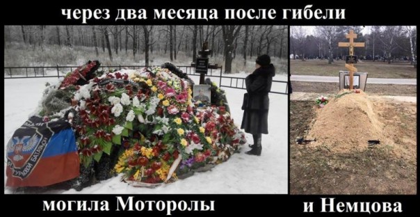 "Мыздобулы" в картинках. Смешных и не очень... 11-01-2017