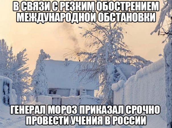 "Мыздобулы" в картинках. Смешных и не очень... 11-01-2017