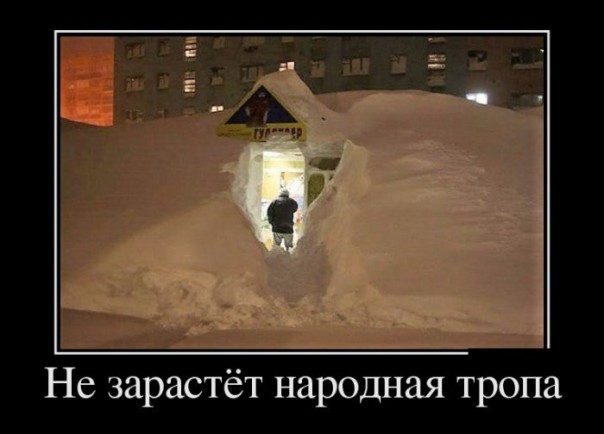 "Мыздобулы" в картинках. Смешных и не очень... 12-01-2017 "Мыздобулы" в картинках. Смешных и не очень... 12-01-2017