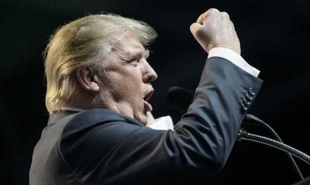Попытка срыва инаугурации Трампа или заявка на импичмент?