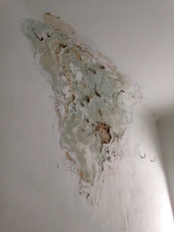 Будущих медиков приучают к нищете за 10 тысяч в год: сеть шокировали фотографии Медицинского колледжа в Харькове Будущих медиков приучают к нищете за 10 тысяч в год: сеть шокировали фотографии Медицинского колледжа в Харькове