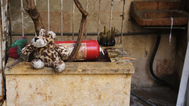 Опасные игрушки Опасные игрушки